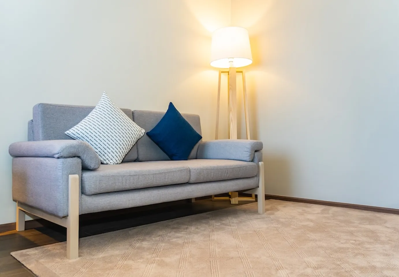 professional furniture cleaning