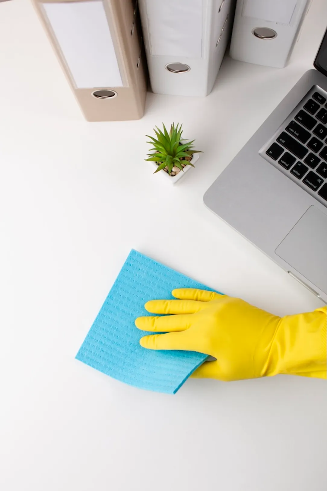 professional commercial cleaner